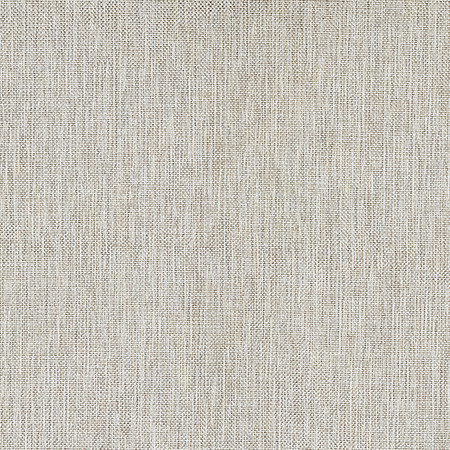 On Your Terms Parchment by Carole Fabric Everyday Basics 100% Olefin USA None 55" Carole Fabrics Fabric - Fabric Carolina -