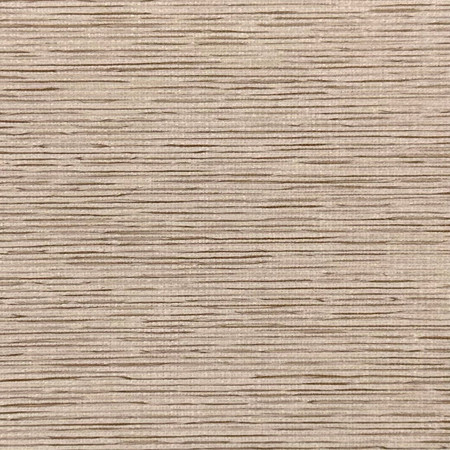 Shaded Birch by Carole Fabric Nightfall 100% Polyester-Acrylic Backing,3-Pass Blackout China None 55" Carole Fabrics Fabric - Fabric Carolina -