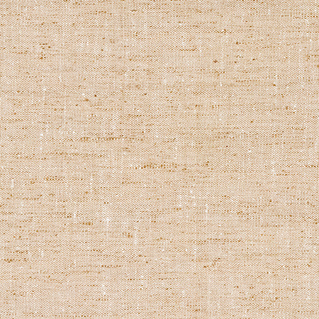 Within The Lines Flax by Carole Fabric Everyday Basics 100% Polyester India None 55" Carole Fabrics Fabric - Fabric Carolina -