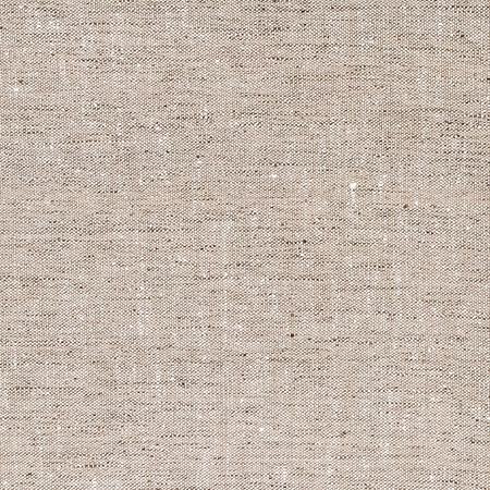 Within The Lines Linen by Carole Fabric Everyday Basics 100% Polyester India None 55" Carole Fabrics Fabric - Fabric Carolina -