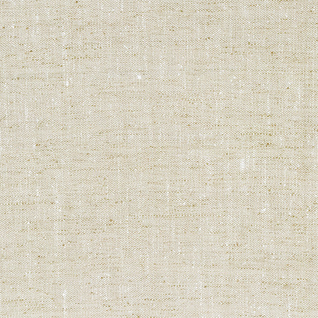 Within The Lines Mineral by Carole Fabric Everyday Basics 100% Polyester India None 55" Carole Fabrics Fabric - Fabric Carolina -