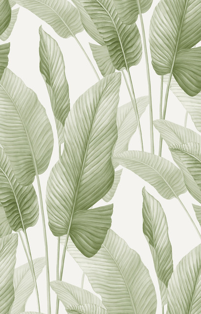 Mantra Matcha AG60004 by Seabrook Designs Wallpaper Bali Tropical Nonwoven United States 60.75 sq ft 27" Seabrook Wallpaper - Fabric Carolina -