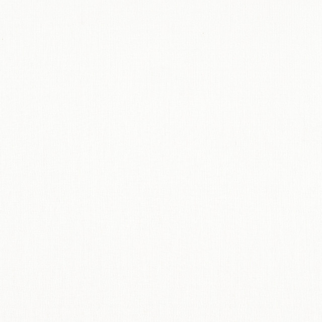 Istrottora White on White C98021 by Coraggio Fabric