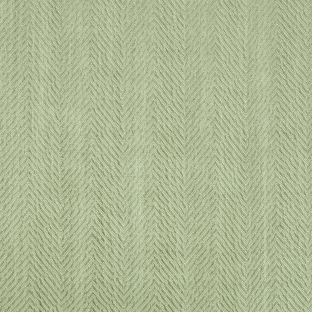 La Cumbre Drive Artichoke C98123 by Coraggio Fabric