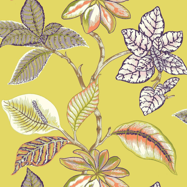 Lucala Citron T5752 by Thibaut Wallpaper
