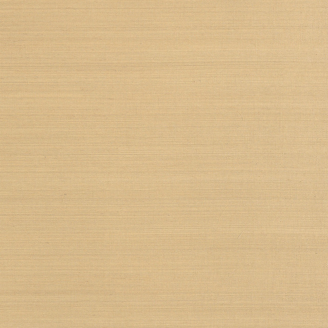 Cholla Sisal Sand AT34101 by Anna French Wallpaper