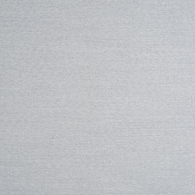 Lusso Acciaio D98028 by Coraggio Fabric