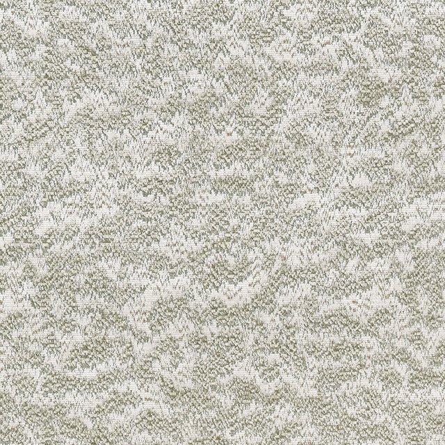 Chautauqua Arctic U98175 by Coraggio Fabric