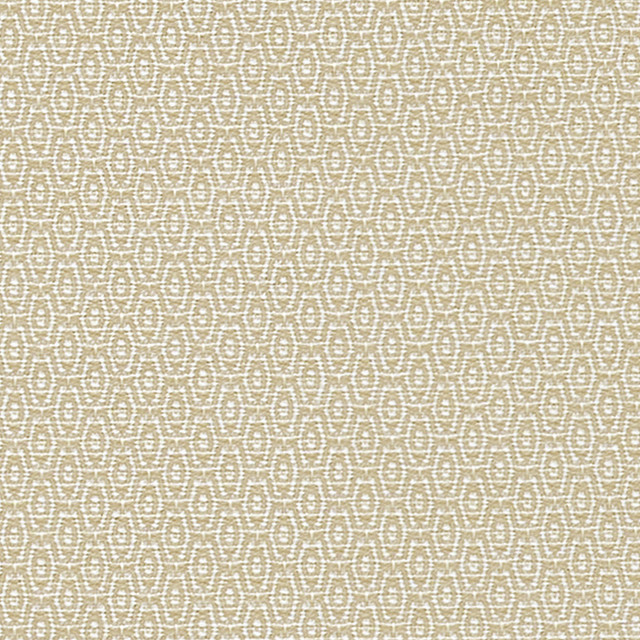 San Onofre Drive Natural U98189 by Coraggio Fabric
