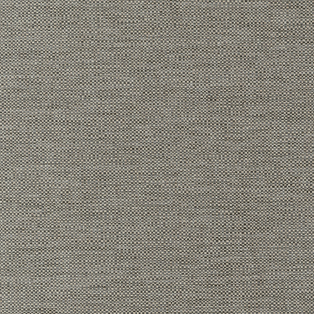 Kaden Ebony W9121 by Thibaut Fabric