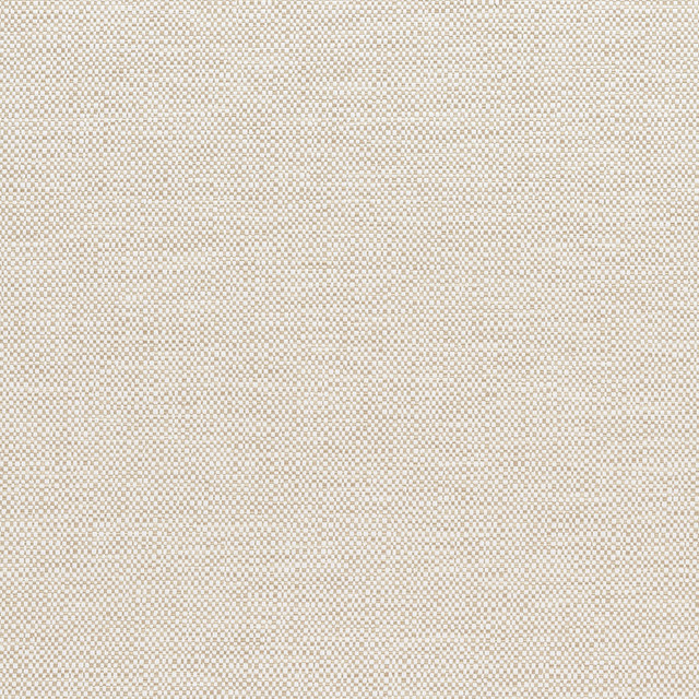 Velani Oatmeal W9146 by Thibaut Fabric