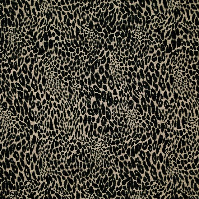 Pridelands Sable 481022 by PKL Studio Fabric