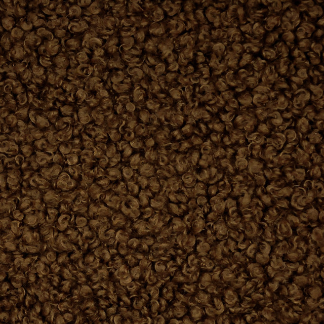 Curly Whirly Espresso 481391 by PKL Studio Fabric