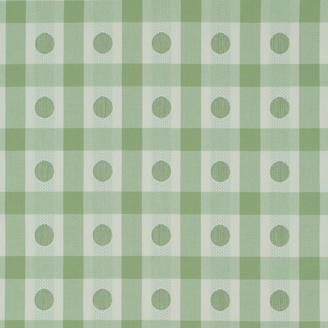 Southport Check Aloe 481033 by PKL Studio Fabric