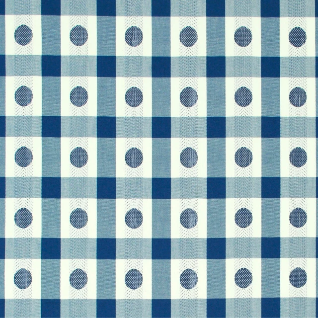 Southport Check Lapis 481031 by PKL Studio Fabric