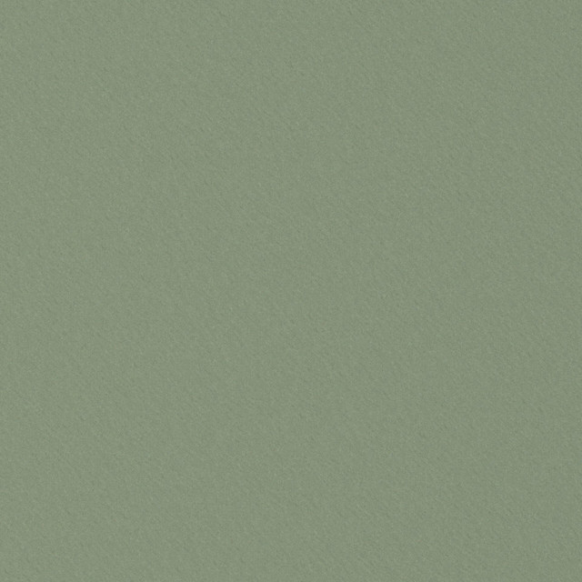 Starlet # 731 Sage by Maxwell Fabric