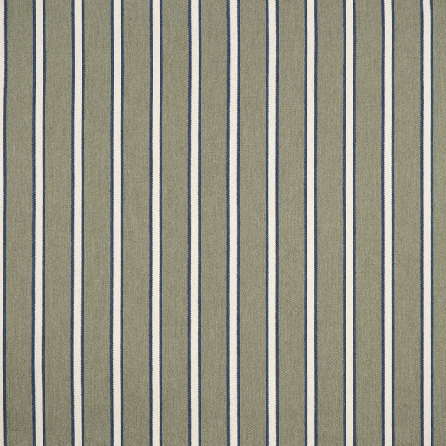 Tahoma # 709 Ivy by Maxwell Fabric