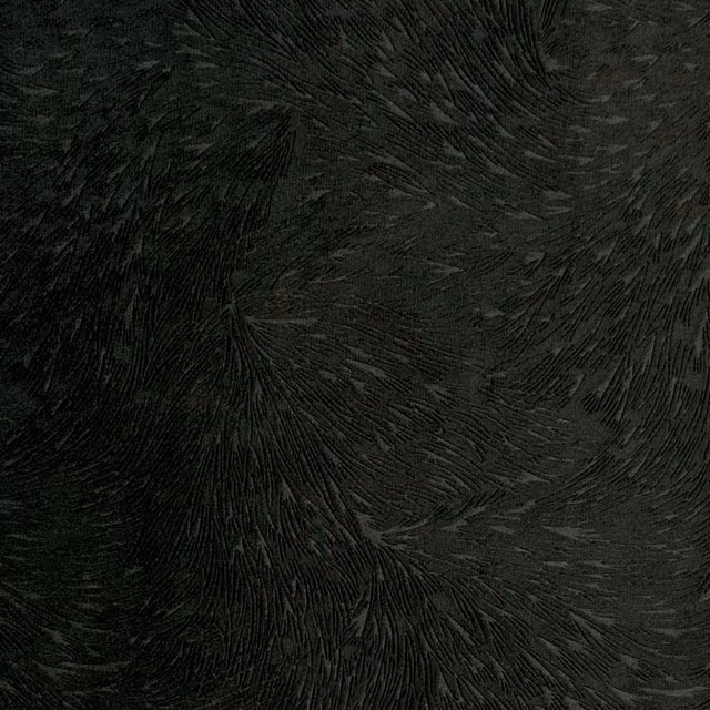 Plume Pure Black by Europatex Fabric