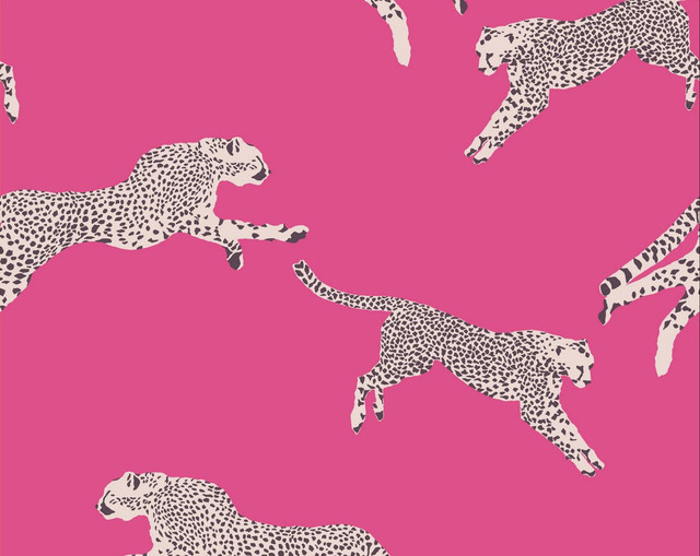 Leaping Cheetah Bubblegum SCWP88449D0003 by Scalamandre Wallpaper