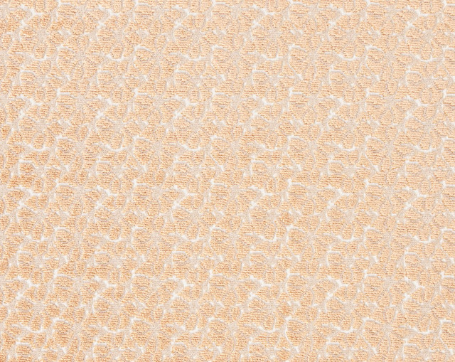 Petal Velvet Peach Fuzz HN273320002 by Hinson Fabric