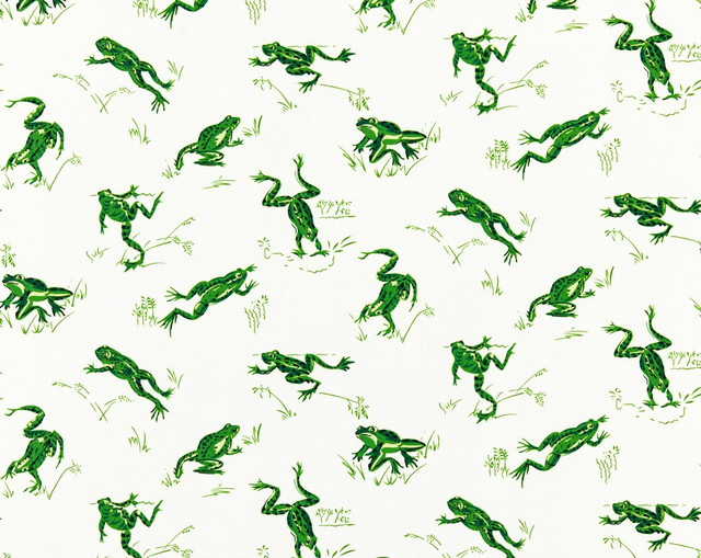 Calabasas County | Outdoor Snap Pea SC16426M0003 by Scalamandre Fabric