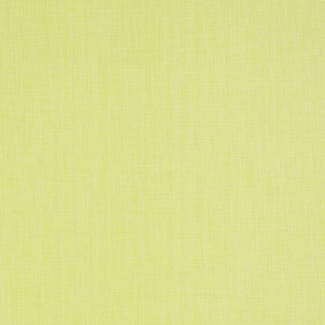Regatta Raffia Citrus T5706 by Thibaut Wallpaper