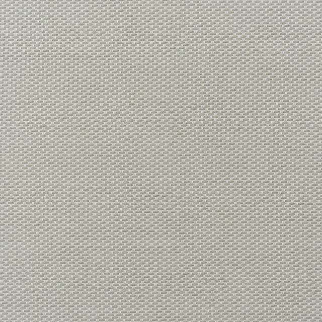 Taormina - Ash AM100477.11.0 by Kravet Couture Fabric