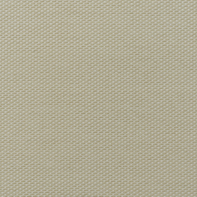 Taormina - Stone AM100477.16.0 by Kravet Couture Fabric