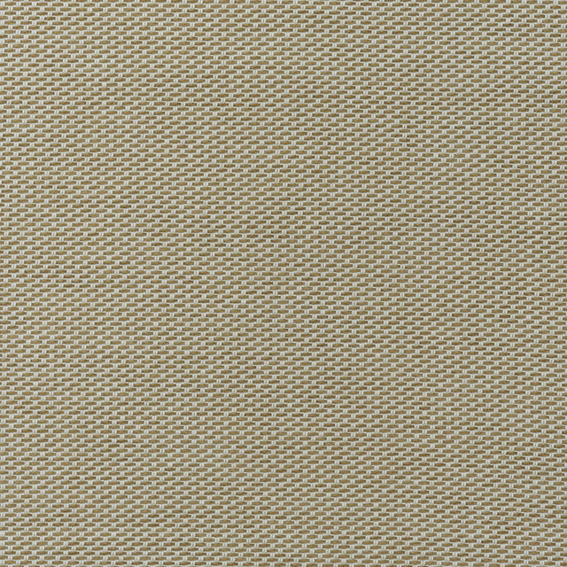 Taormina - Almond AM100477.166.0 by Kravet Couture Fabric