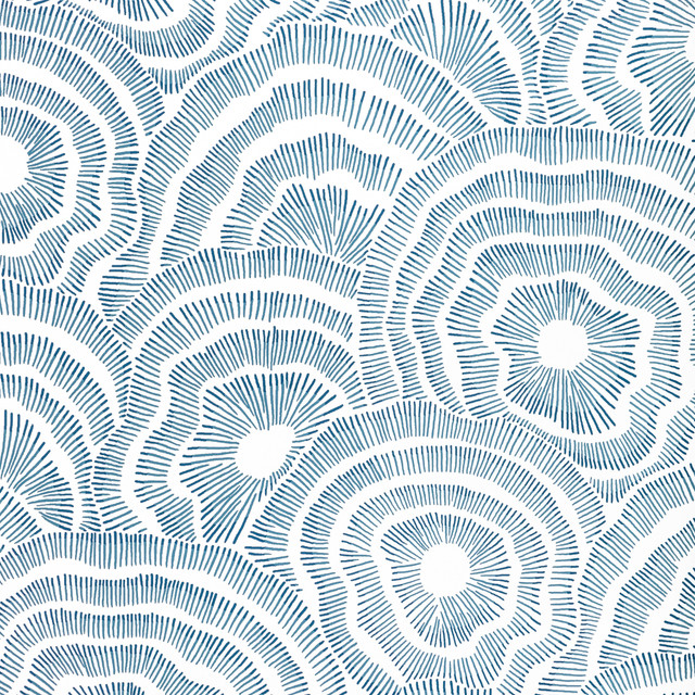 Panache Ink by Kravet Couture Fabric