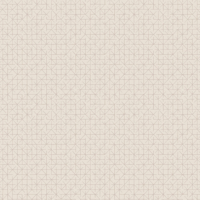 Beech by Winfield Thybony Wallcovering