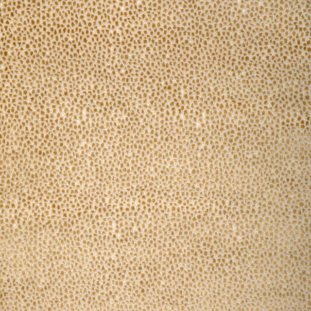 Kravet Design 37480-4 by Kravet Design Fabric