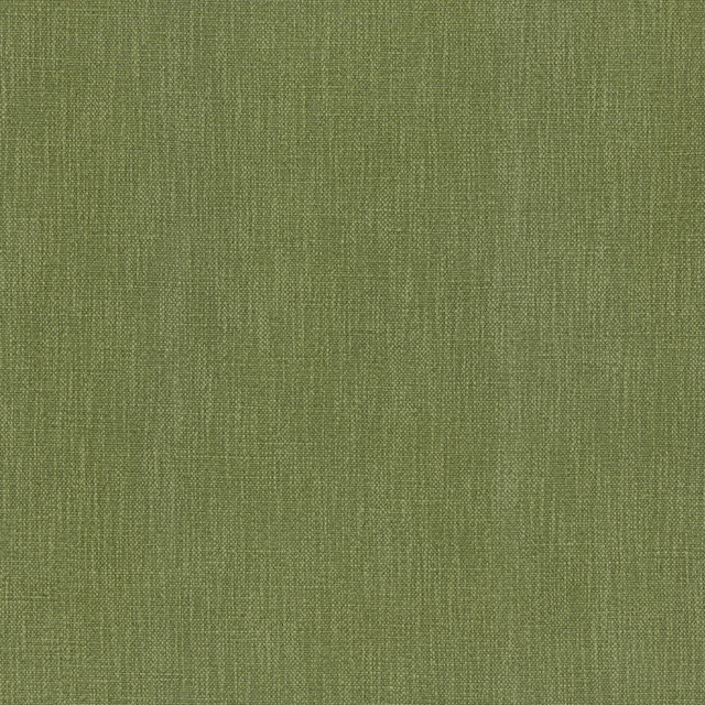 Vero Meadow by Kravet Smart Fabric
