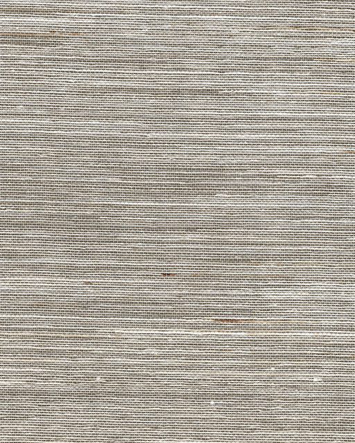 Hazelnut by Winfield Thybony Wallcovering