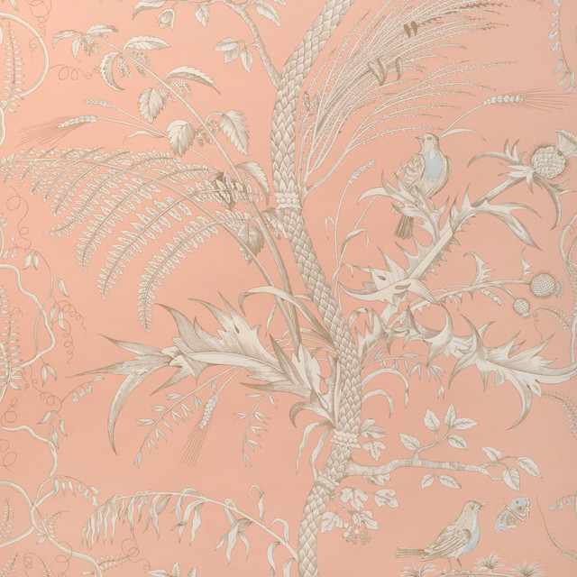 Peach by Brunschwig & Fils Wallcovering
