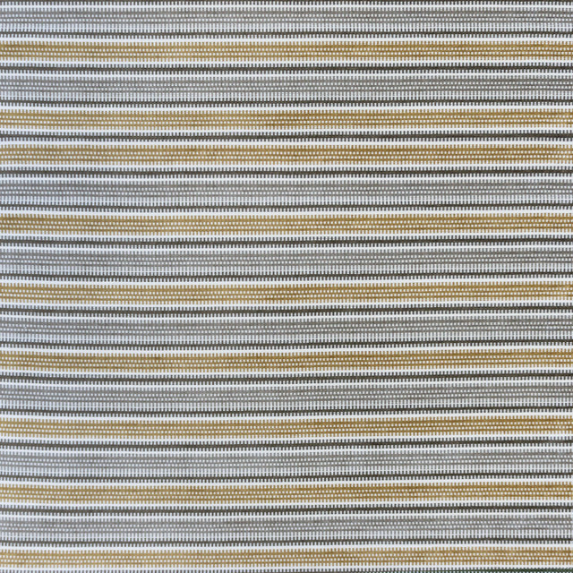 Assos Topo/Beige by Gaston Y Daniela Fabric