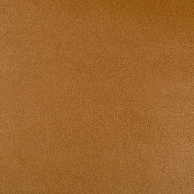 Fera Adobe by Kravet Basics Fabric