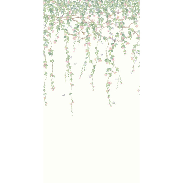 Blush by Cole & Son Wallcovering