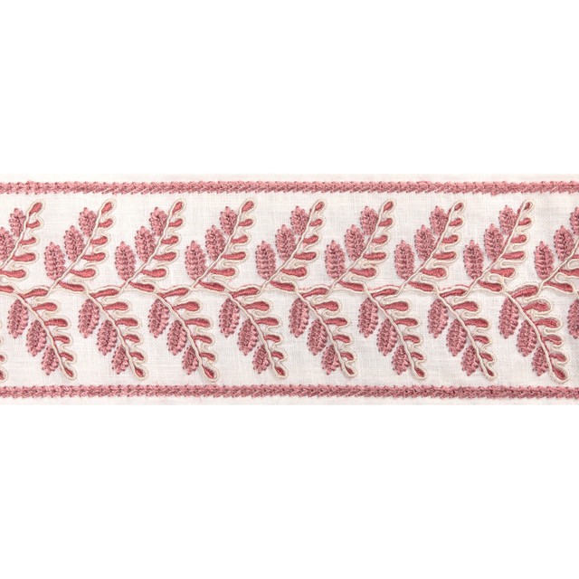 Fougere Border Rosewood by Brunschwig & Fils Trim