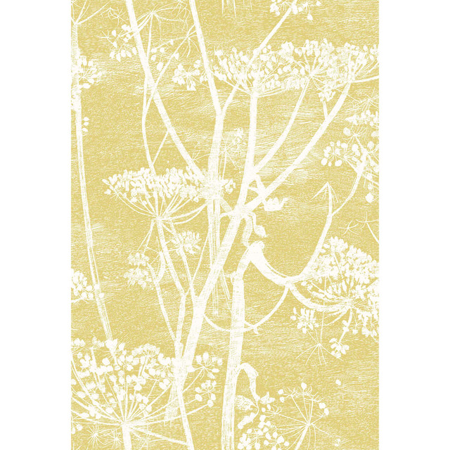 Color Box Velvet Aubergine by Cole & Son Fabric