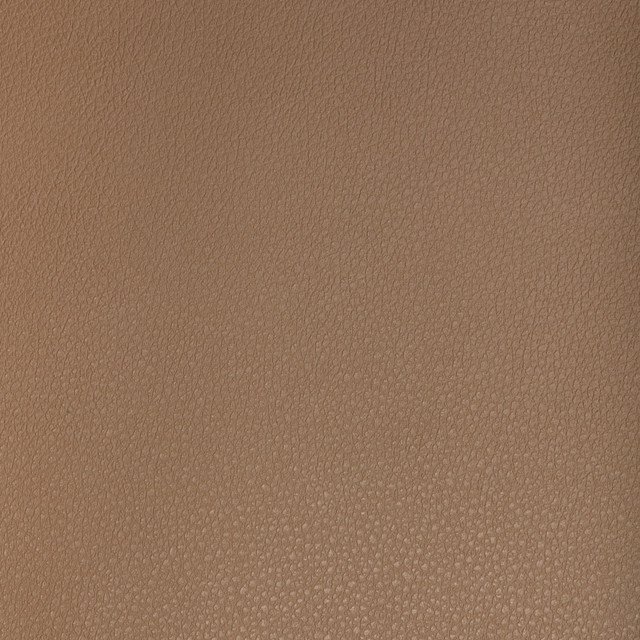 Kravet Design Buff-6 by Kravet Design Fabric