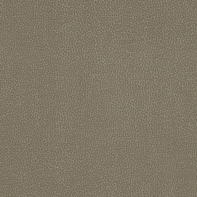 Kravet Design Tannin-21 by Kravet Design Fabric