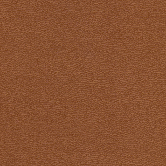 Kravet Design Tannin-6 by Kravet Design Fabric