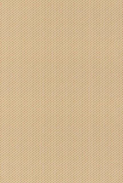 Penny Ochre by G P & J Baker Fabric