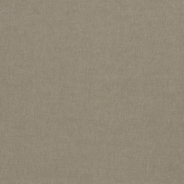 Paradiso Ash by Clarke And Clarke Fabric