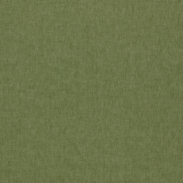 Paradiso Olive by Clarke And Clarke Fabric