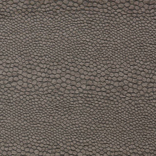 Castus Espresso by Clarke And Clarke Fabric