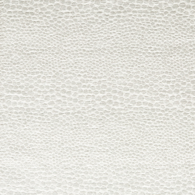 Castus Ivory by Clarke And Clarke Fabric