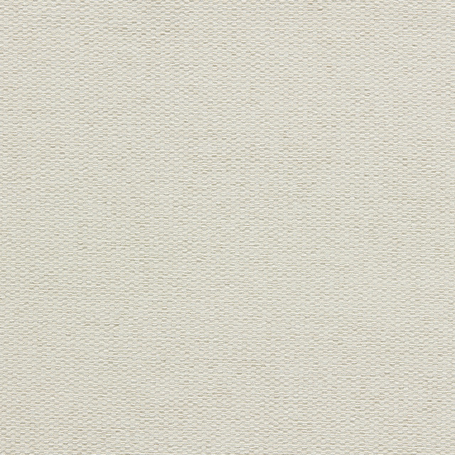 Tergo Ivory by Clarke And Clarke Fabric