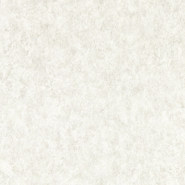Ash Wp by Clarke And Clarke Wallcovering